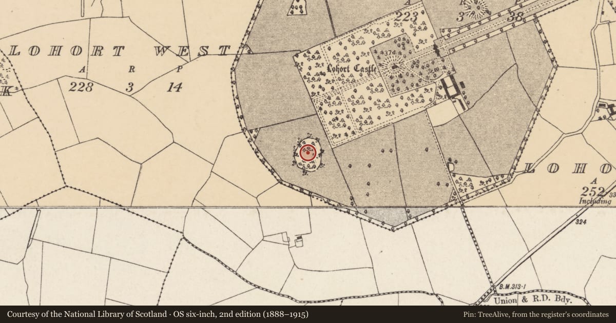 Ordnance Survey six-inch map, 2nd edition (1888–1915) covering the location of Enclosure, Castlelohort Demesne, County Cork, with a pin at the register's coordinates
