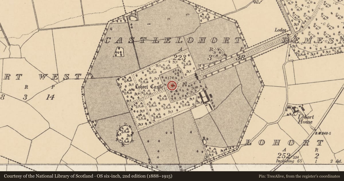 Ordnance Survey six-inch map, 2nd edition (1888–1915) covering the location of Castle - tower house, Castlelohort Demesne, County Cork, with a pin at the register's coordinates