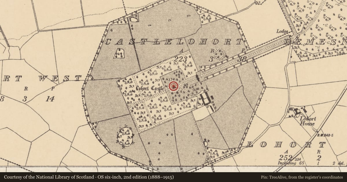Ordnance Survey six-inch map, 2nd edition (1888–1915) covering the location of Bastioned fort, Castlelohort Demesne, County Cork, with a pin at the register's coordinates