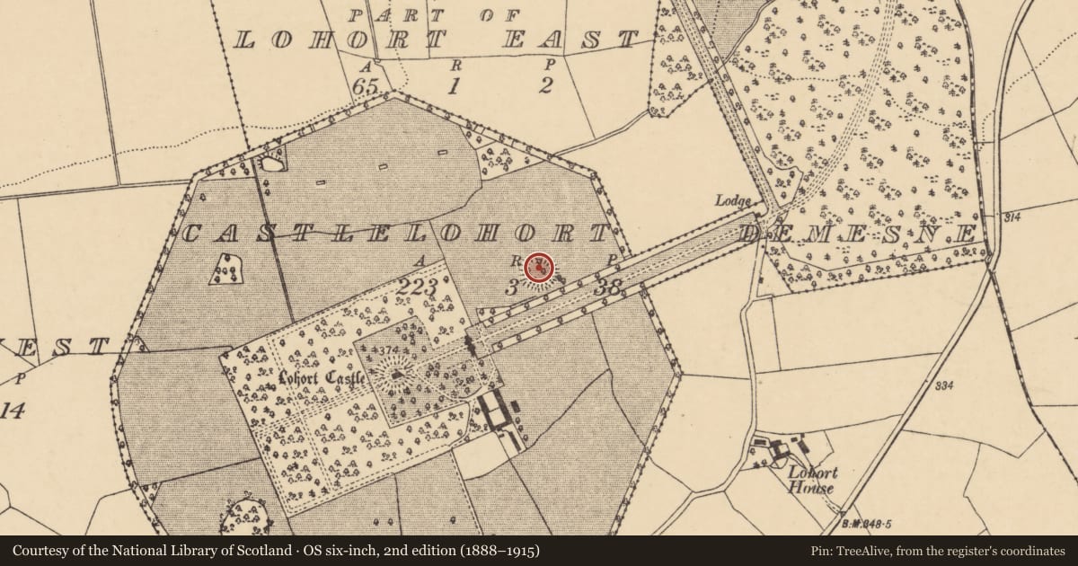 Ordnance Survey six-inch map, 2nd edition (1888–1915) covering the location of Ringfort - rath, Castlelohort Demesne, County Cork, with a pin at the register's coordinates