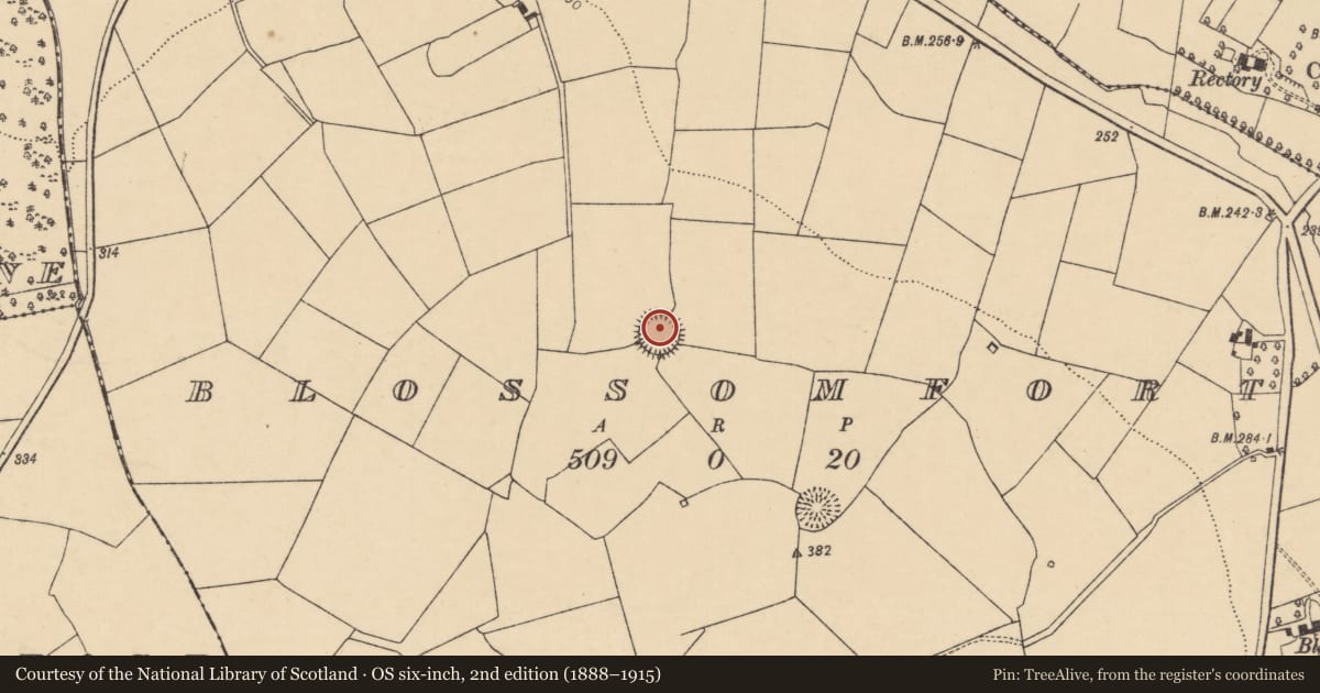 Ordnance Survey six-inch map, 2nd edition (1888–1915) covering the location of Ringfort - rath, Blossomfort, County Cork, with a pin at the register's coordinates