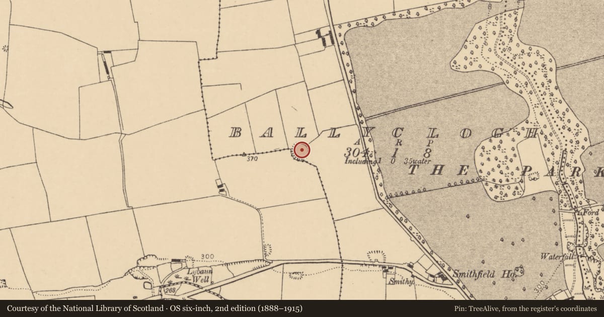 Ordnance Survey six-inch map, 2nd edition (1888–1915) covering the location of Ringfort - rath, Ballyclogh, County Cork, with a pin at the register's coordinates