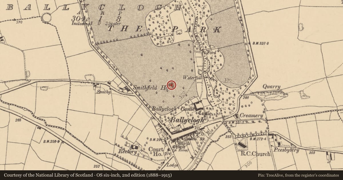 Ordnance Survey six-inch map, 2nd edition (1888–1915) covering the location of Designed landscape - tree-ring, Ballyclogh, County Cork, with a pin at the register's coordinates