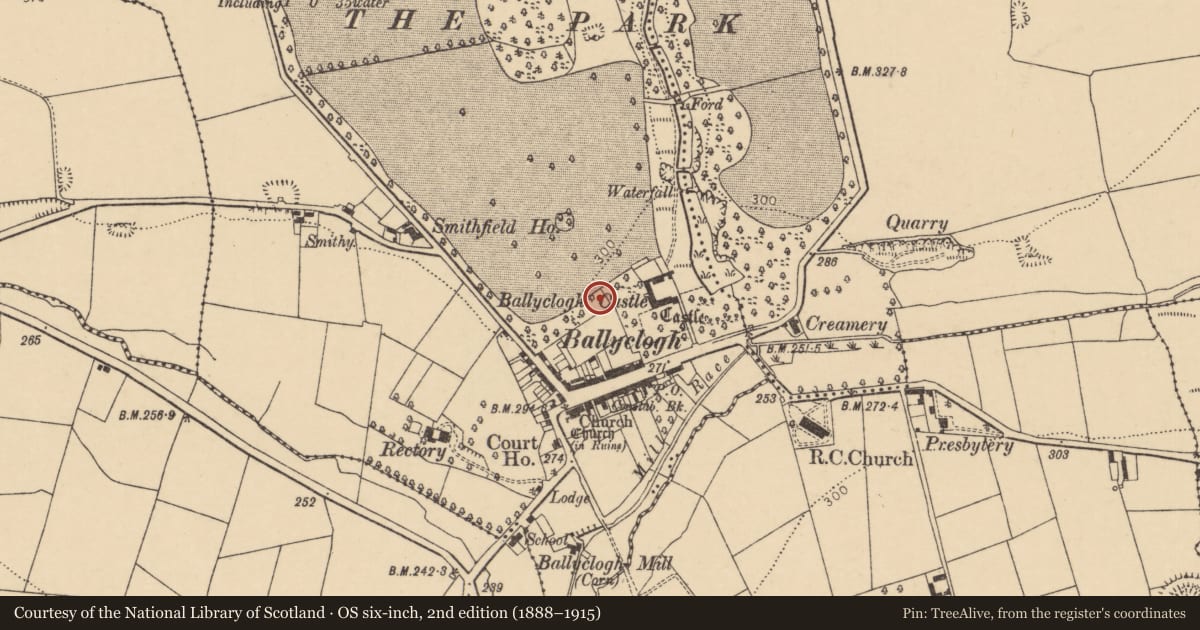 Ordnance Survey six-inch map, 2nd edition (1888–1915) covering the location of Standing stone, Ballyclogh, County Cork, with a pin at the register's coordinates