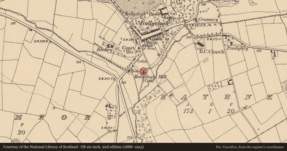 Ordnance Survey six-inch map, 2nd edition (1888–1915) covering the location of Mill - corn, Ballyclogh, County Cork, with a pin at the register's coordinates