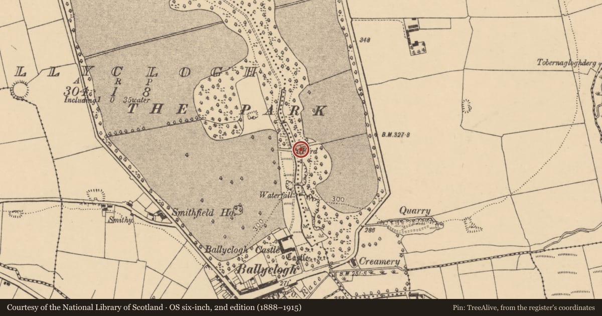 Ordnance Survey six-inch map, 2nd edition (1888–1915) covering the location of Ritual site - holy well, Lisleagh, County Cork, with a pin at the register's coordinates