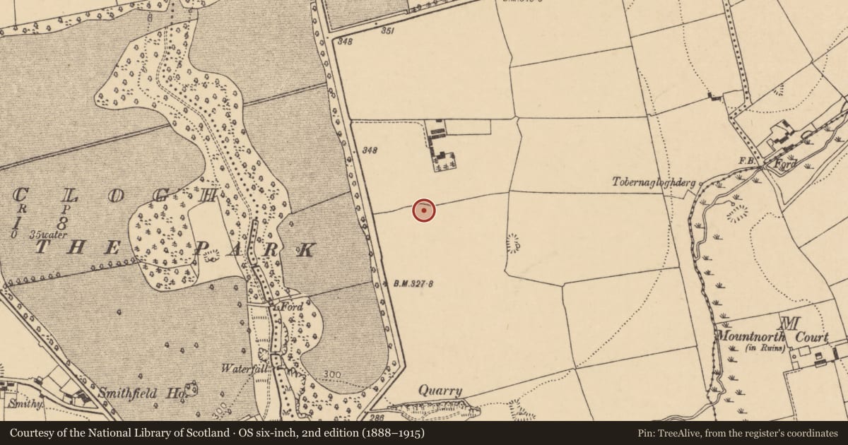 Ordnance Survey six-inch map, 2nd edition (1888–1915) covering the location of Ringfort - rath, Lisleagh, County Cork, with a pin at the register's coordinates