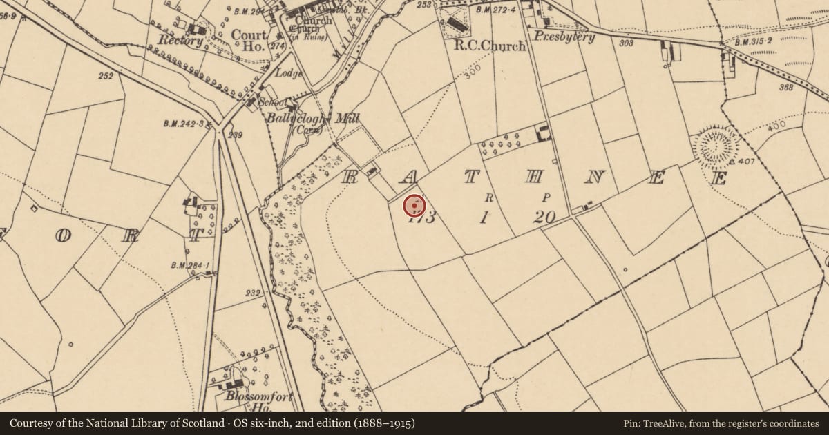 Ordnance Survey six-inch map, 2nd edition (1888–1915) covering the location of Ringfort - rath, Rathnee, County Cork, with a pin at the register's coordinates