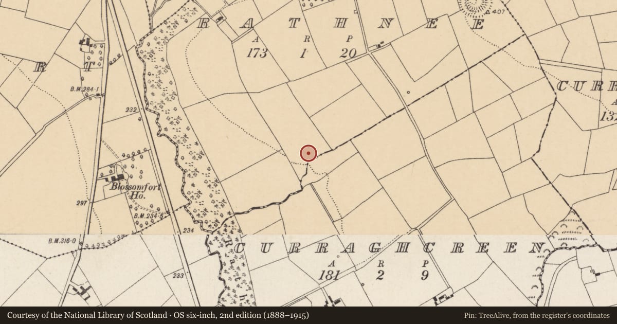 Ordnance Survey six-inch map, 2nd edition (1888–1915) covering the location of Enclosure, Rathnee, County Cork, with a pin at the register's coordinates