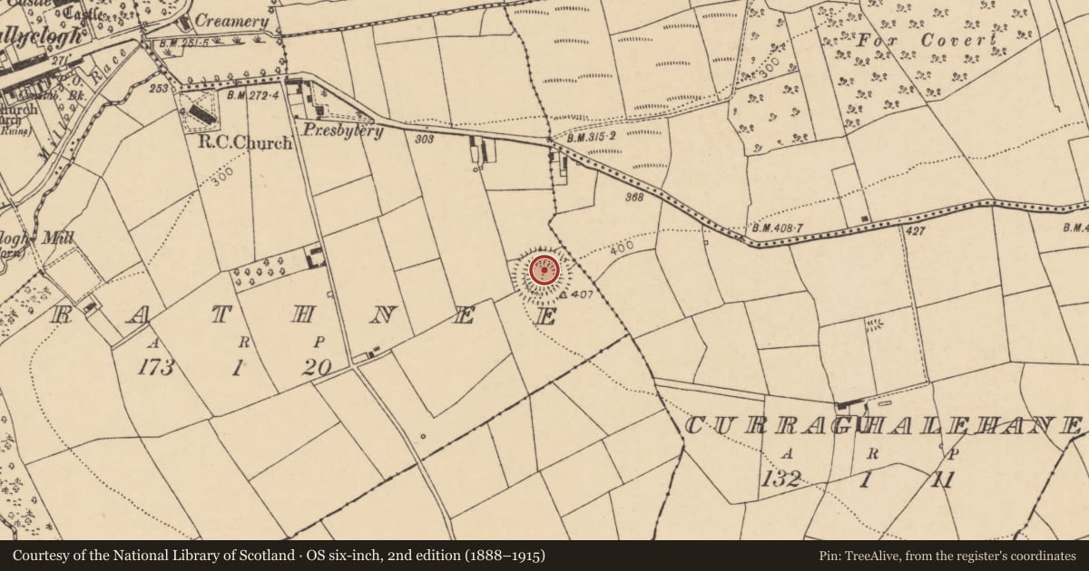 Ordnance Survey six-inch map, 2nd edition (1888–1915) covering the location of Ringfort - rath, Rathnee, County Cork, with a pin at the register's coordinates