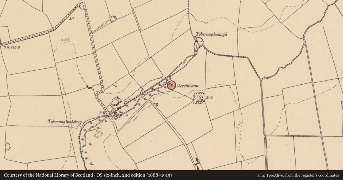 Ordnance Survey six-inch map, 2nd edition (1888–1915) covering the location of Ritual site - holy well, Mountnorth, County Cork, with a pin at the register's coordinates