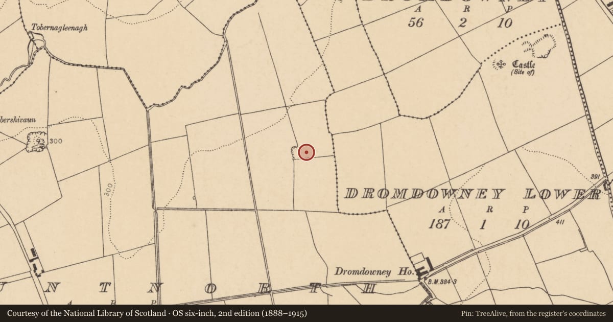 Ordnance Survey six-inch map, 2nd edition (1888–1915) covering the location of Fulacht fia, Mountnorth, County Cork, with a pin at the register's coordinates