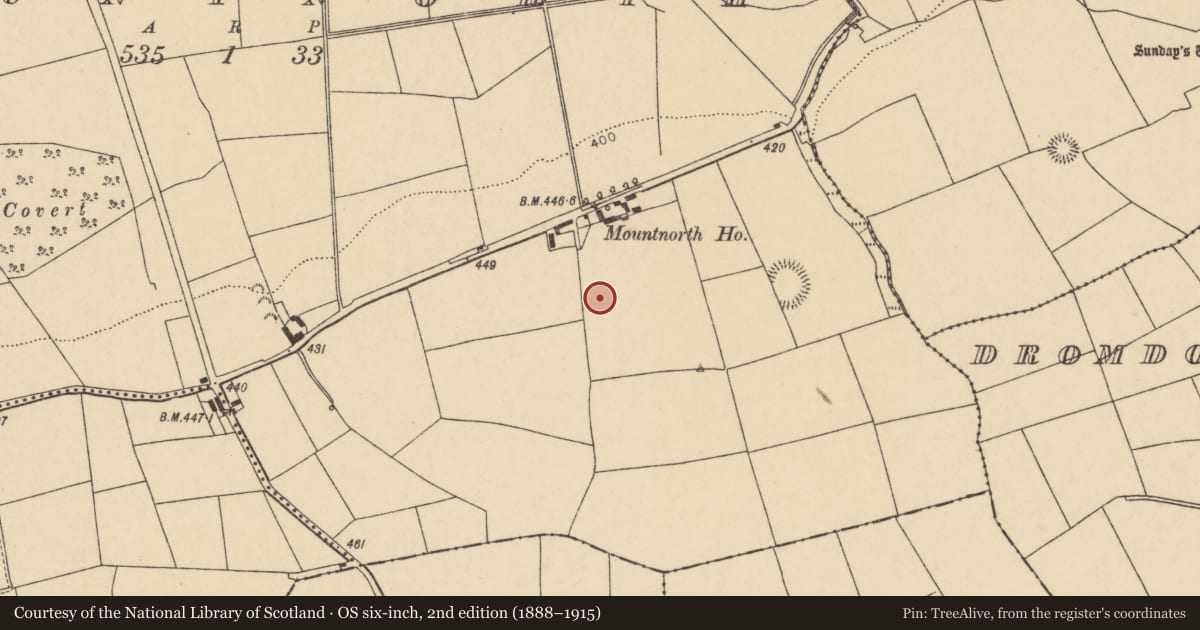 Ordnance Survey six-inch map, 2nd edition (1888–1915) covering the location of Standing stone, Mountnorth, County Cork, with a pin at the register's coordinates