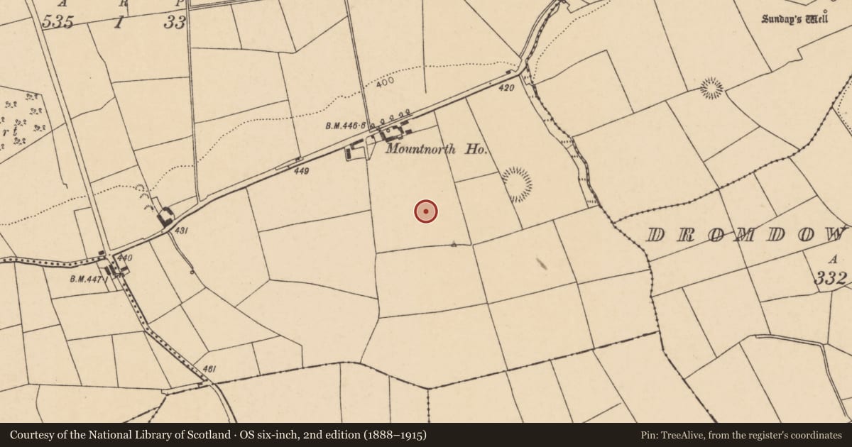 Ordnance Survey six-inch map, 2nd edition (1888–1915) covering the location of Standing stone, Mountnorth, County Cork, with a pin at the register's coordinates