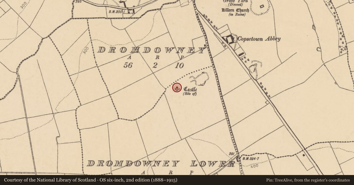 Ordnance Survey six-inch map, 2nd edition (1888–1915) covering the location of Earthwork, Dromdowney Lower, County Cork, with a pin at the register's coordinates