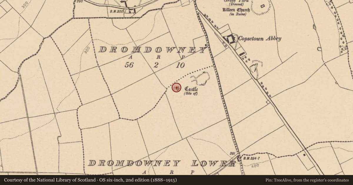 Ordnance Survey six-inch map, 2nd edition (1888–1915) covering the location of Castle - unclassified, Dromdowney Lower, County Cork, with a pin at the register's coordinates