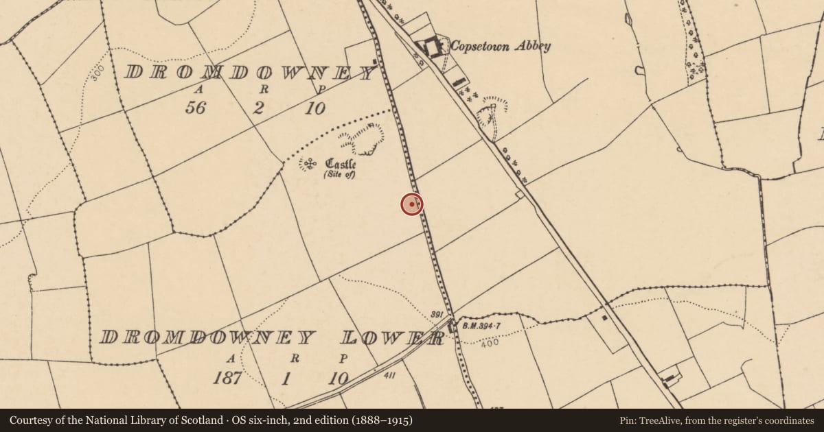 Ordnance Survey six-inch map, 2nd edition (1888–1915) covering the location of Souterrain, Dromdowney Lower, County Cork, with a pin at the register's coordinates