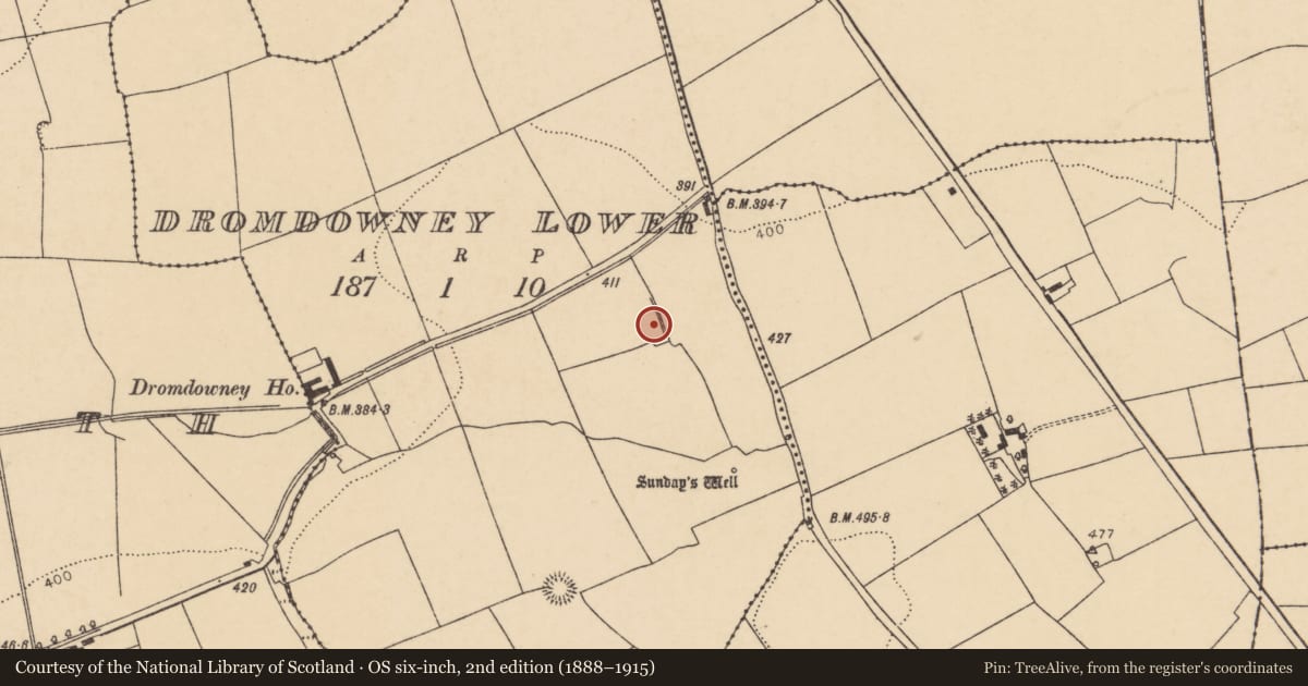Ordnance Survey six-inch map, 2nd edition (1888–1915) covering the location of Enclosure, Dromdowney Lower, County Cork, with a pin at the register's coordinates
