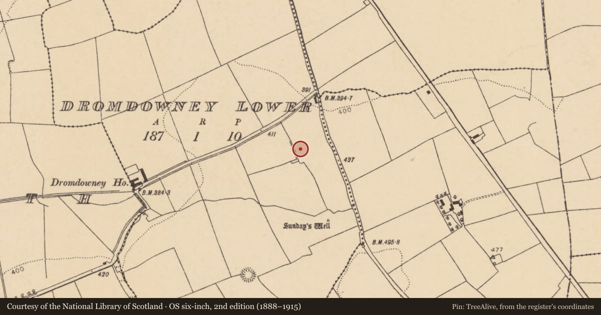 Ordnance Survey six-inch map, 2nd edition (1888–1915) covering the location of Moated site, Dromdowney Lower, County Cork, with a pin at the register's coordinates