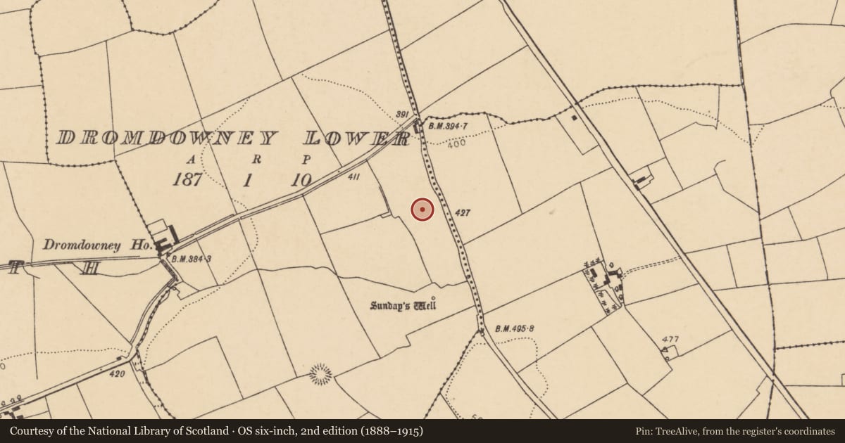 Ordnance Survey six-inch map, 2nd edition (1888–1915) covering the location of Earthwork, Dromdowney Lower, County Cork, with a pin at the register's coordinates