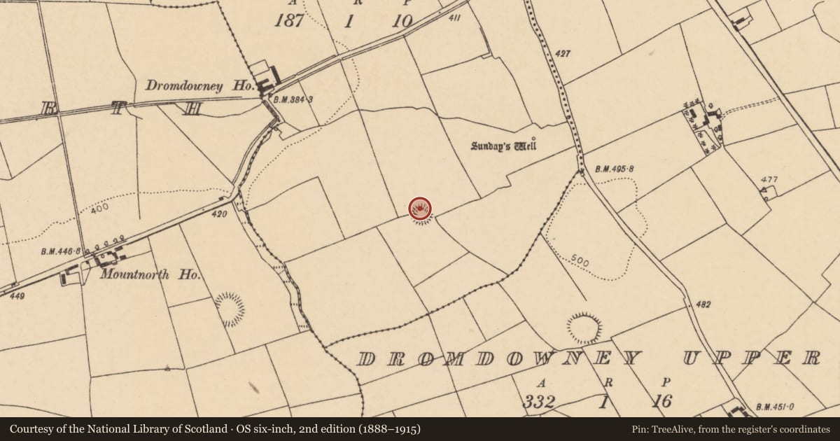 Ordnance Survey six-inch map, 2nd edition (1888–1915) covering the location of Ringfort - rath, Dromdowney Lower, County Cork, with a pin at the register's coordinates