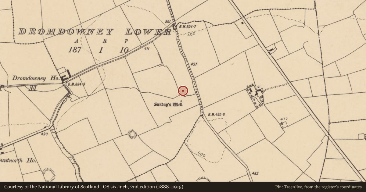 Ordnance Survey six-inch map, 2nd edition (1888–1915) covering the location of Church, Dromdowney Lower, County Cork, with a pin at the register's coordinates