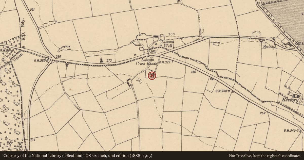 Ordnance Survey six-inch map, 2nd edition (1888–1915) covering the location of House - vernacular house, Blossomfort, County Cork, with a pin at the register's coordinates