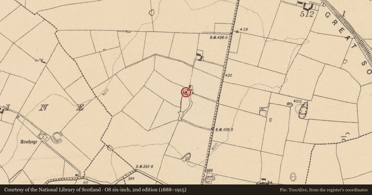Ordnance Survey six-inch map, 2nd edition (1888–1915) covering the location of House - vernacular house, Grange West, County Cork, with a pin at the register's coordinates