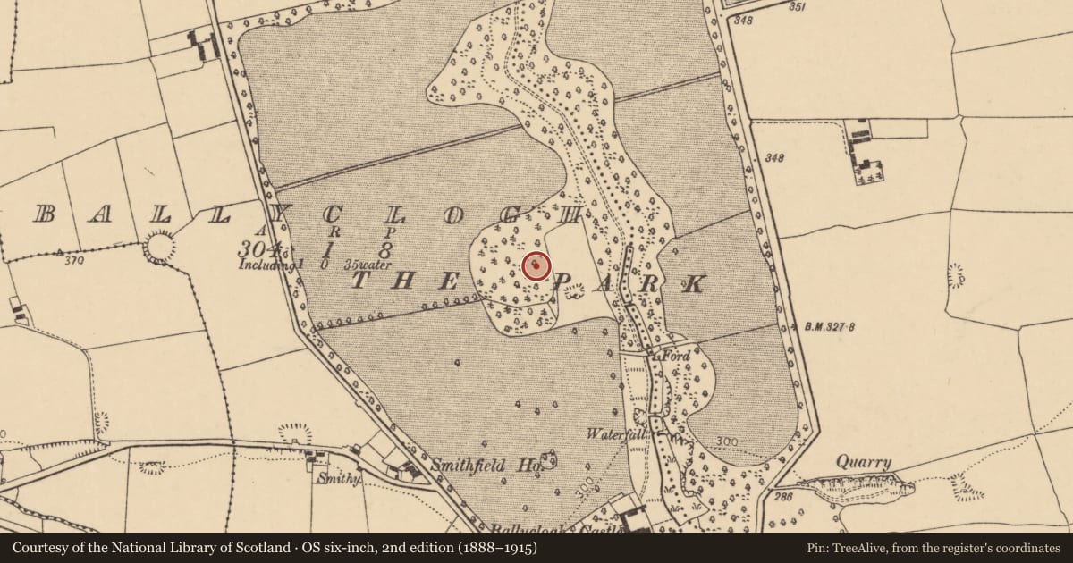 Ordnance Survey six-inch map, 2nd edition (1888–1915) covering the location of Designed landscape - belvedere, Ballyclogh, County Cork, with a pin at the register's coordinates