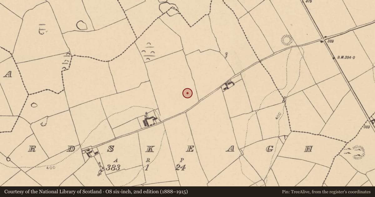Ordnance Survey six-inch map, 2nd edition (1888–1915) covering the location of Enclosure, Ardskeagh, County Cork, with a pin at the register's coordinates