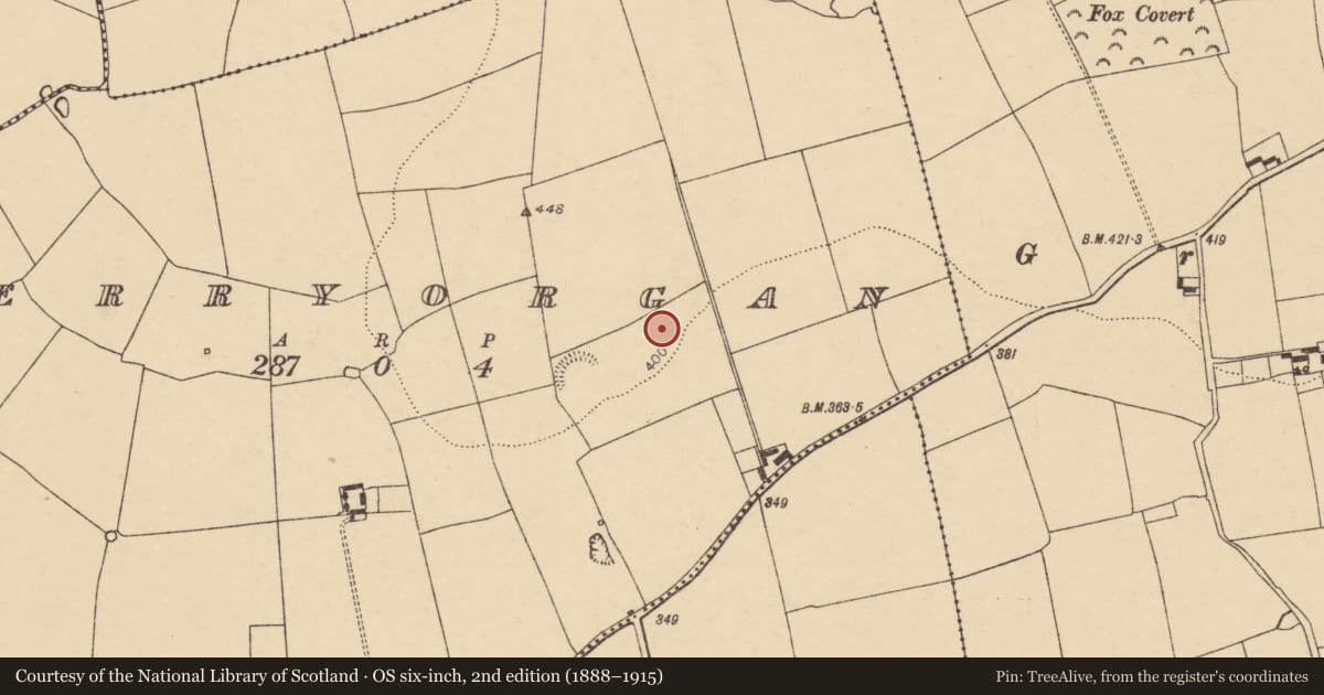 Ordnance Survey six-inch map, 2nd edition (1888–1915) covering the location of Enclosure, Derryorgan, County Cork, with a pin at the register's coordinates