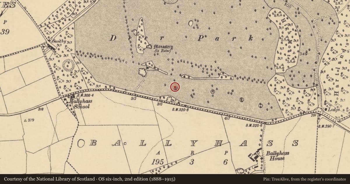 Ordnance Survey six-inch map, 2nd edition (1888–1915) covering the location of Designed landscape - tree-ring, Ballygiblin, County Cork, with a pin at the register's coordinates