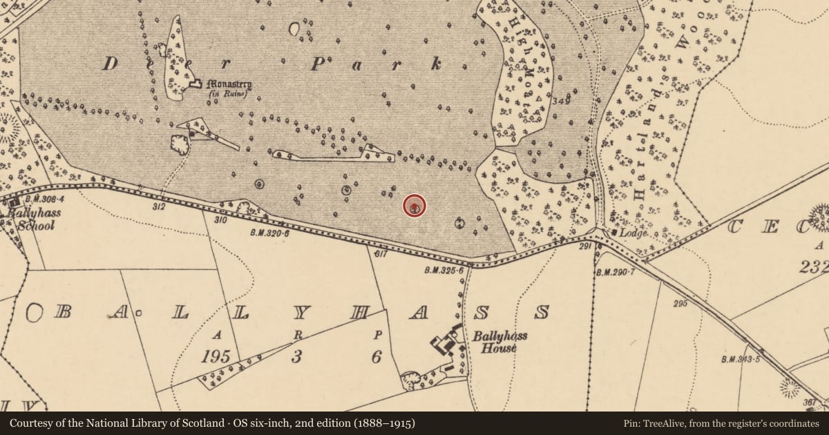 Ordnance Survey six-inch map, 2nd edition (1888–1915) covering the location of Designed landscape - tree-ring, Ballygiblin, County Cork, with a pin at the register's coordinates