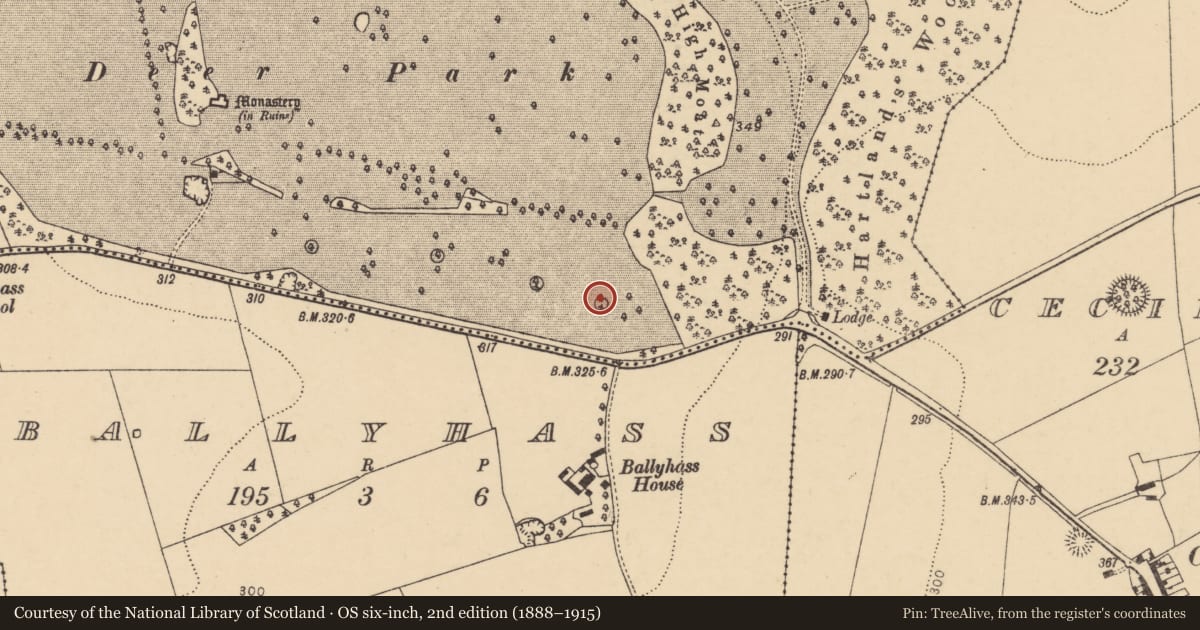Ordnance Survey six-inch map, 2nd edition (1888–1915) covering the location of Designed landscape - tree-ring, Ballygiblin, County Cork, with a pin at the register's coordinates