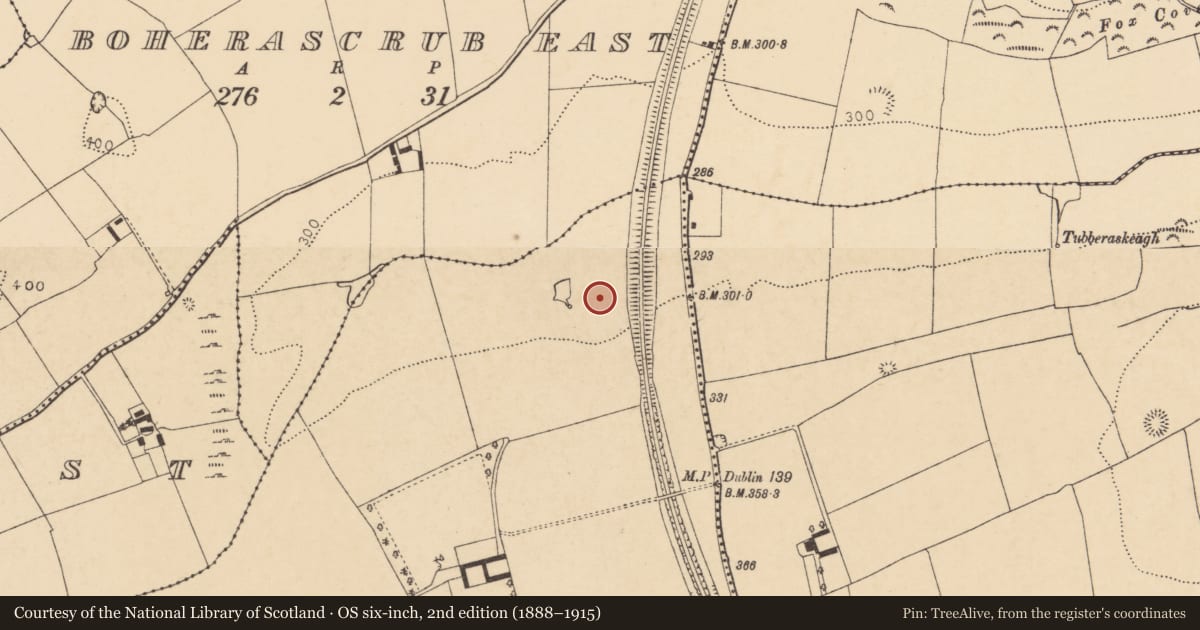Ordnance Survey six-inch map, 2nd edition (1888–1915) covering the location of Fulacht fia, Grange West, County Cork, with a pin at the register's coordinates