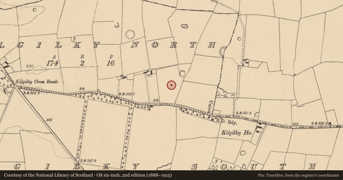 Ordnance Survey six-inch map, 2nd edition (1888–1915) covering the location of Fulacht fia, Kilgilky North, County Cork, with a pin at the register's coordinates
