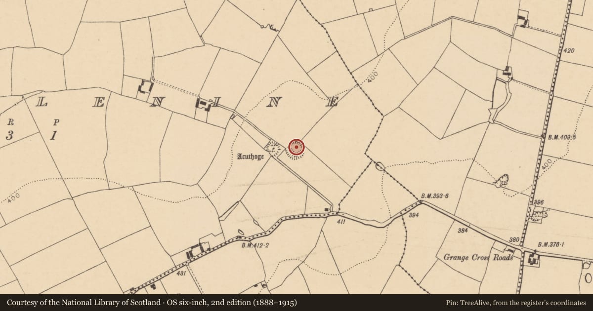 Ordnance Survey six-inch map, 2nd edition (1888–1915) covering the location of Souterrain, Kilmaclenine, County Cork, with a pin at the register's coordinates