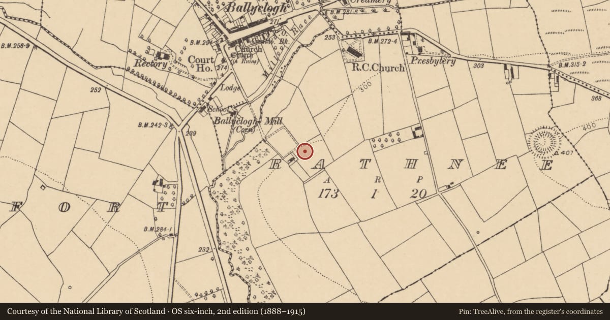 Ordnance Survey six-inch map, 2nd edition (1888–1915) covering the location of Ringfort - rath, Rathnee, County Cork, with a pin at the register's coordinates