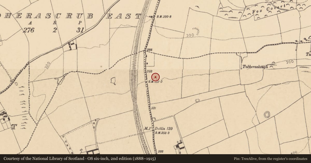 Ordnance Survey six-inch map, 2nd edition (1888–1915) covering the location of Enclosure, Grange East, County Cork, with a pin at the register's coordinates