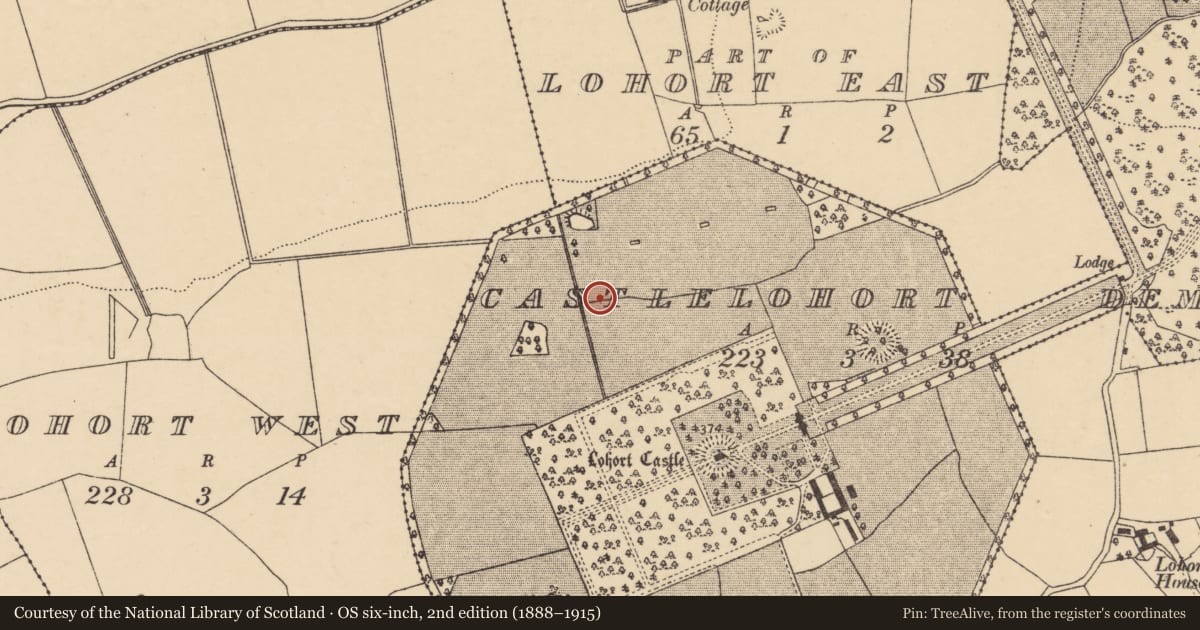Ordnance Survey six-inch map, 2nd edition (1888–1915) covering the location of Ritual site - holy well, Castlelohort Demesne, County Cork, with a pin at the register's coordinates