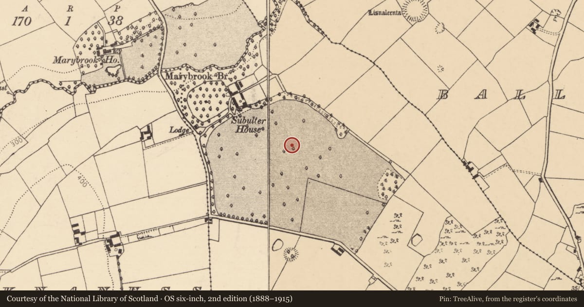 Ordnance Survey six-inch map, 2nd edition (1888–1915) covering the location of Field system, Subulter, County Cork, with a pin at the register's coordinates