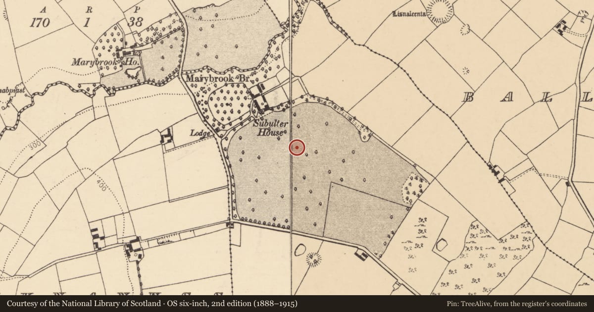 Ordnance Survey six-inch map, 2nd edition (1888–1915) covering the location of Enclosure, Subulter, County Cork, with a pin at the register's coordinates