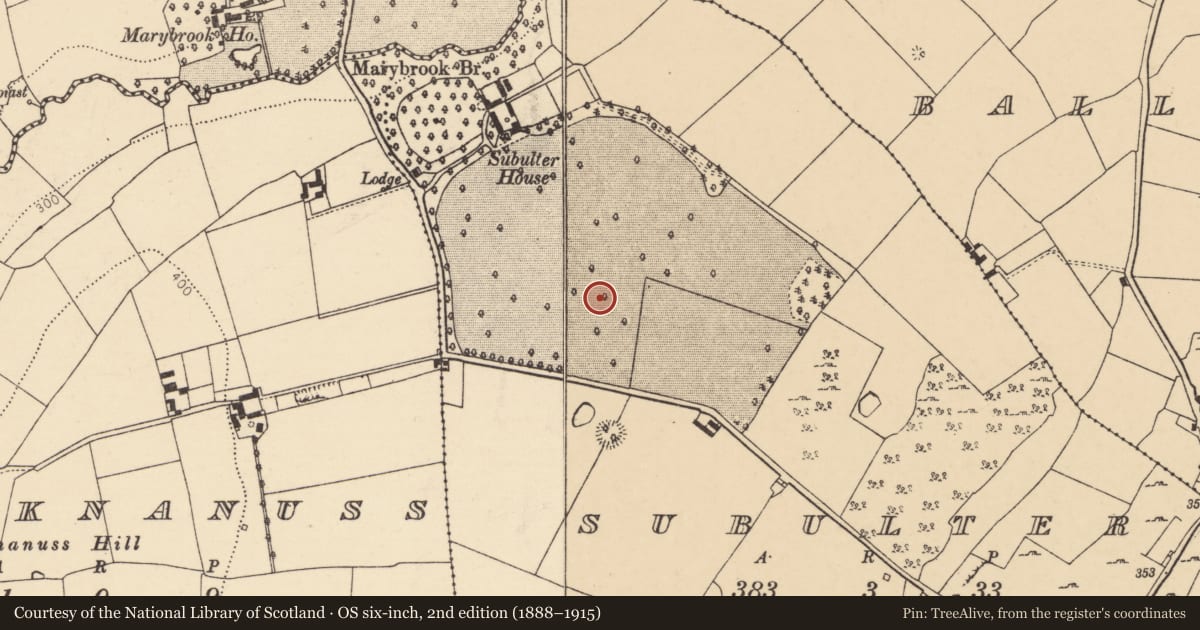 Ordnance Survey six-inch map, 2nd edition (1888–1915) covering the location of Enclosure, Subulter, County Cork, with a pin at the register's coordinates