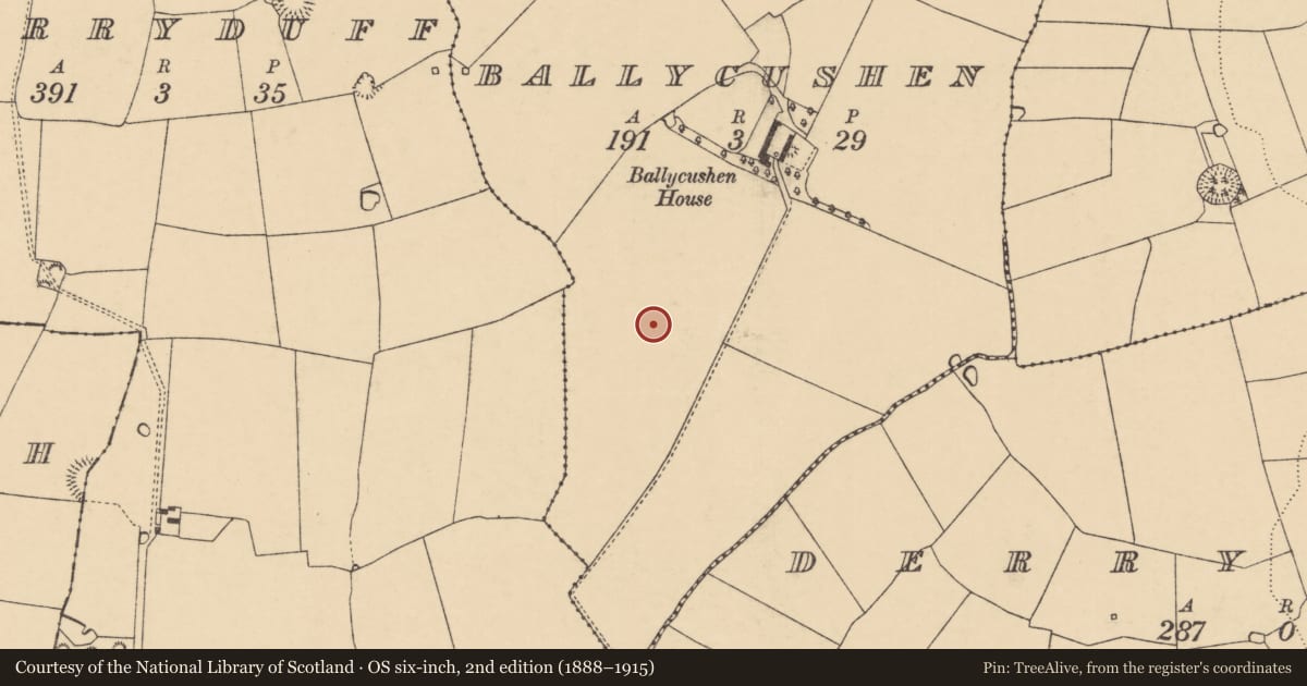 Ordnance Survey six-inch map, 2nd edition (1888–1915) covering the location of Field system, Ballycushen, County Cork, with a pin at the register's coordinates