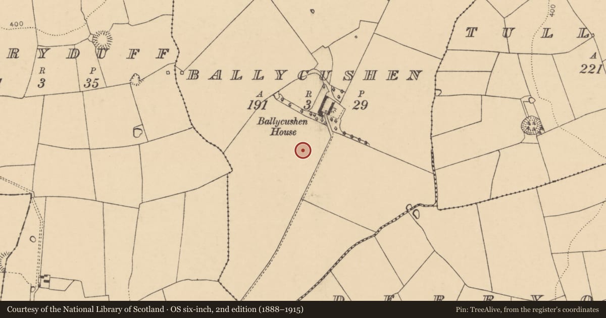 Ordnance Survey six-inch map, 2nd edition (1888–1915) covering the location of Enclosure, Ballycushen, County Cork, with a pin at the register's coordinates