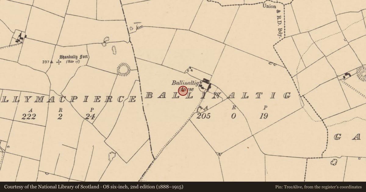 Ordnance Survey six-inch map, 2nd edition (1888–1915) covering the location of Enclosure, Ballinaltig, County Cork, with a pin at the register's coordinates