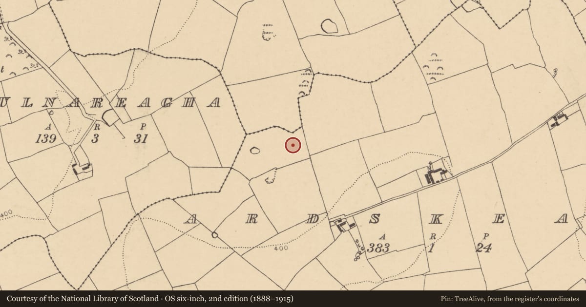 Ordnance Survey six-inch map, 2nd edition (1888–1915) covering the location of Ring-ditch, Ardskeagh, County Cork, with a pin at the register's coordinates