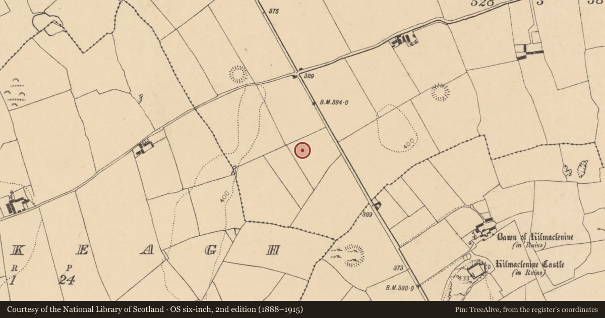 Ordnance Survey six-inch map, 2nd edition (1888–1915) covering the location of Enclosure, Boherascrub West, County Cork, with a pin at the register's coordinates