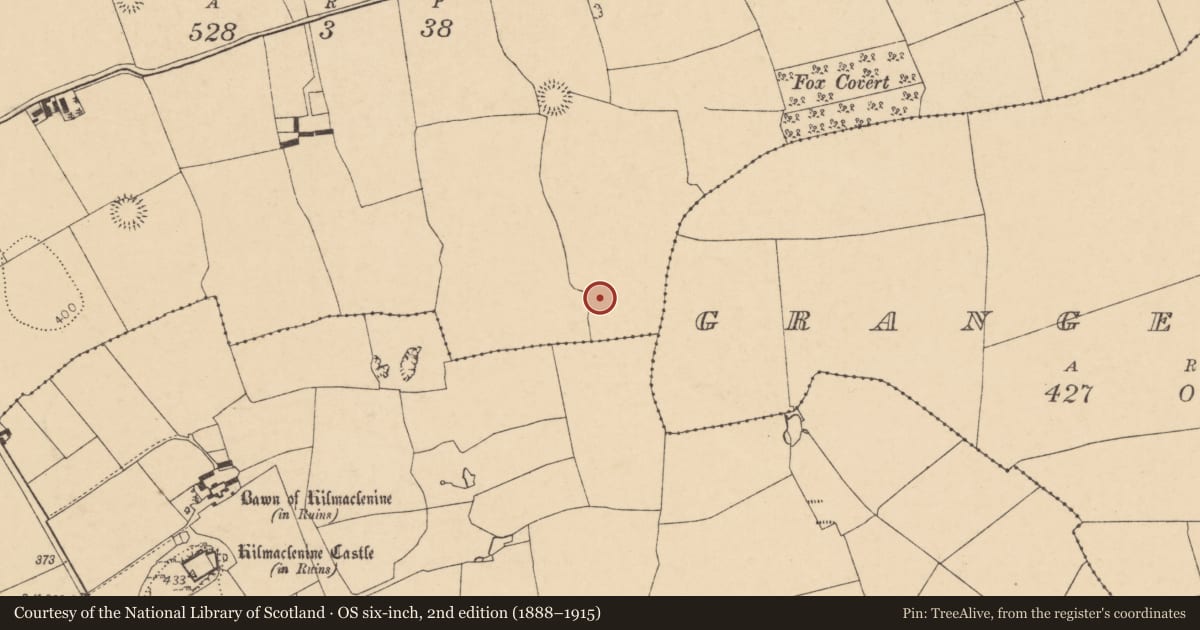 Ordnance Survey six-inch map, 2nd edition (1888–1915) covering the location of Ringfort - rath, Boherascrub West, County Cork, with a pin at the register's coordinates