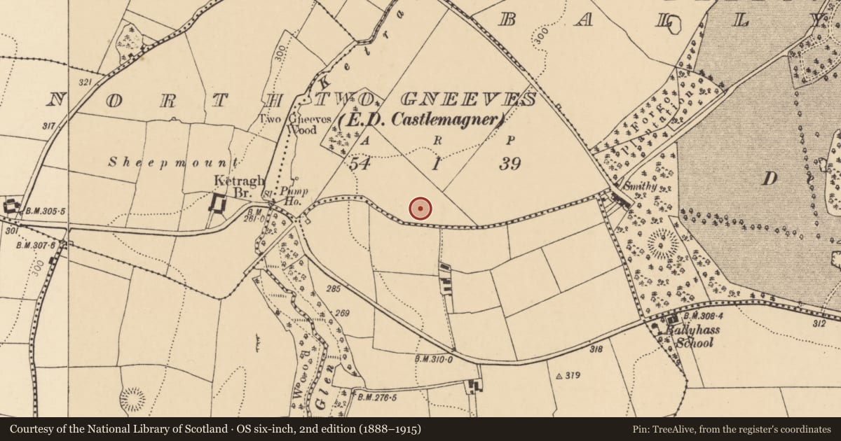 Ordnance Survey six-inch map, 2nd edition (1888–1915) covering the location of Enclosure, Two Gneeves, County Cork, with a pin at the register's coordinates